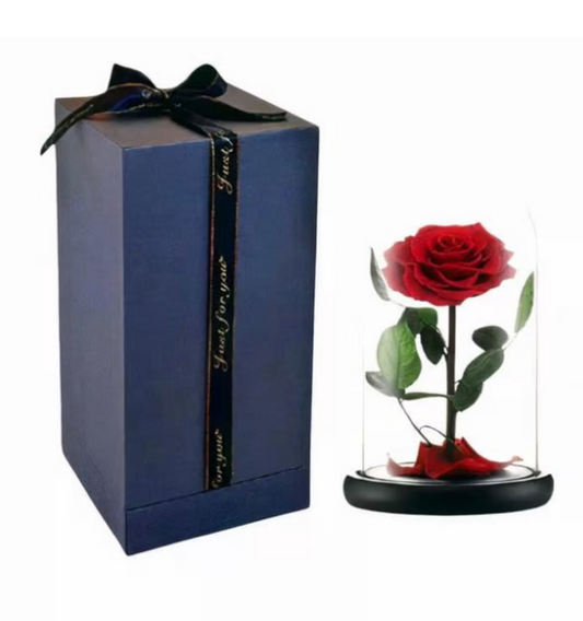 Bella Red (Rosa preservada)
